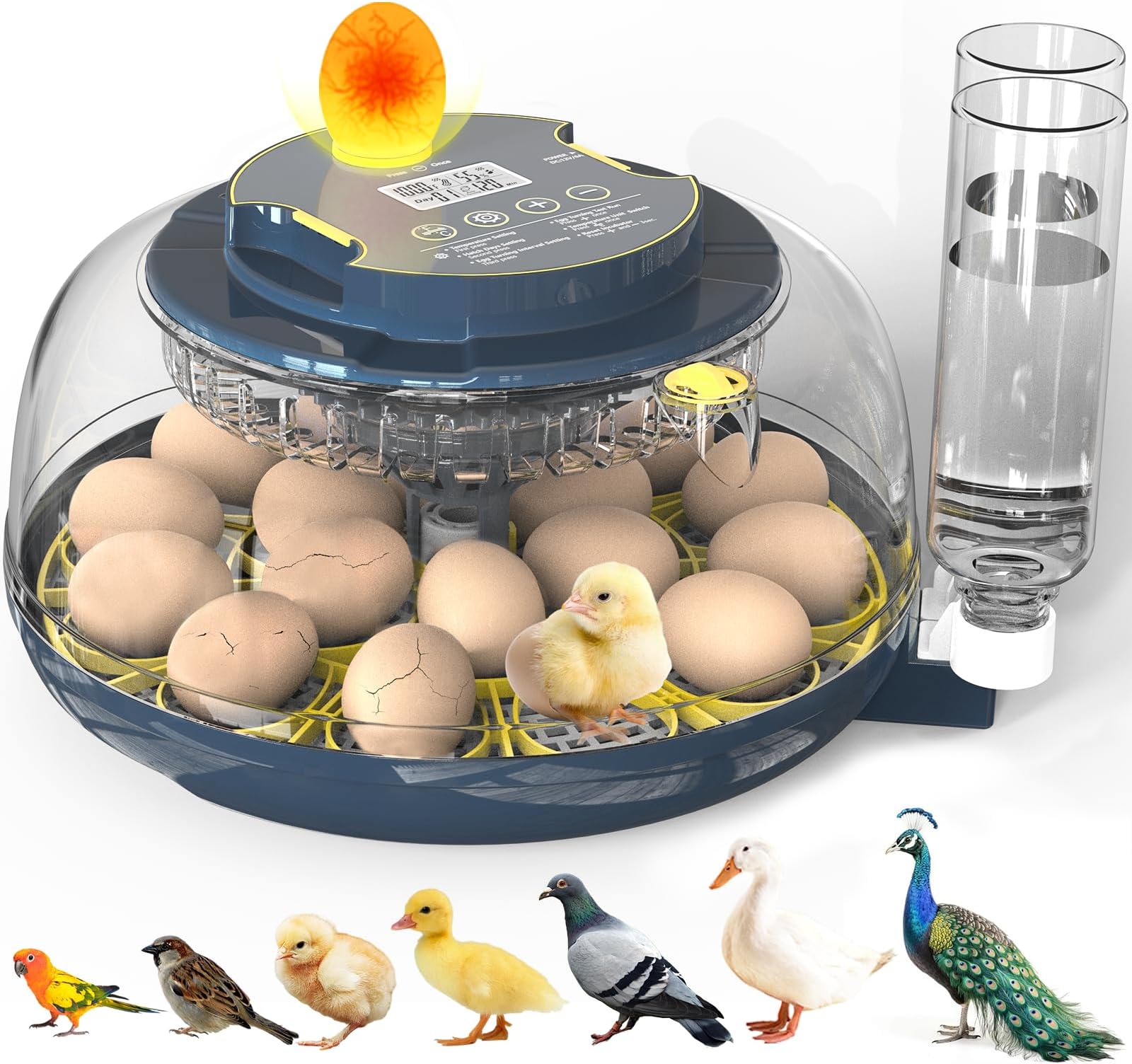 Incubators for Hatching Eggs, 18 Eggs Incubator with Egg Candler, Auto Egg Turner, Temp Control &Humidity Display, Hatch Day, Auto Water Refill, 2 Size Egg Tray, 360° Viewing for Chicken, Duck, Quail