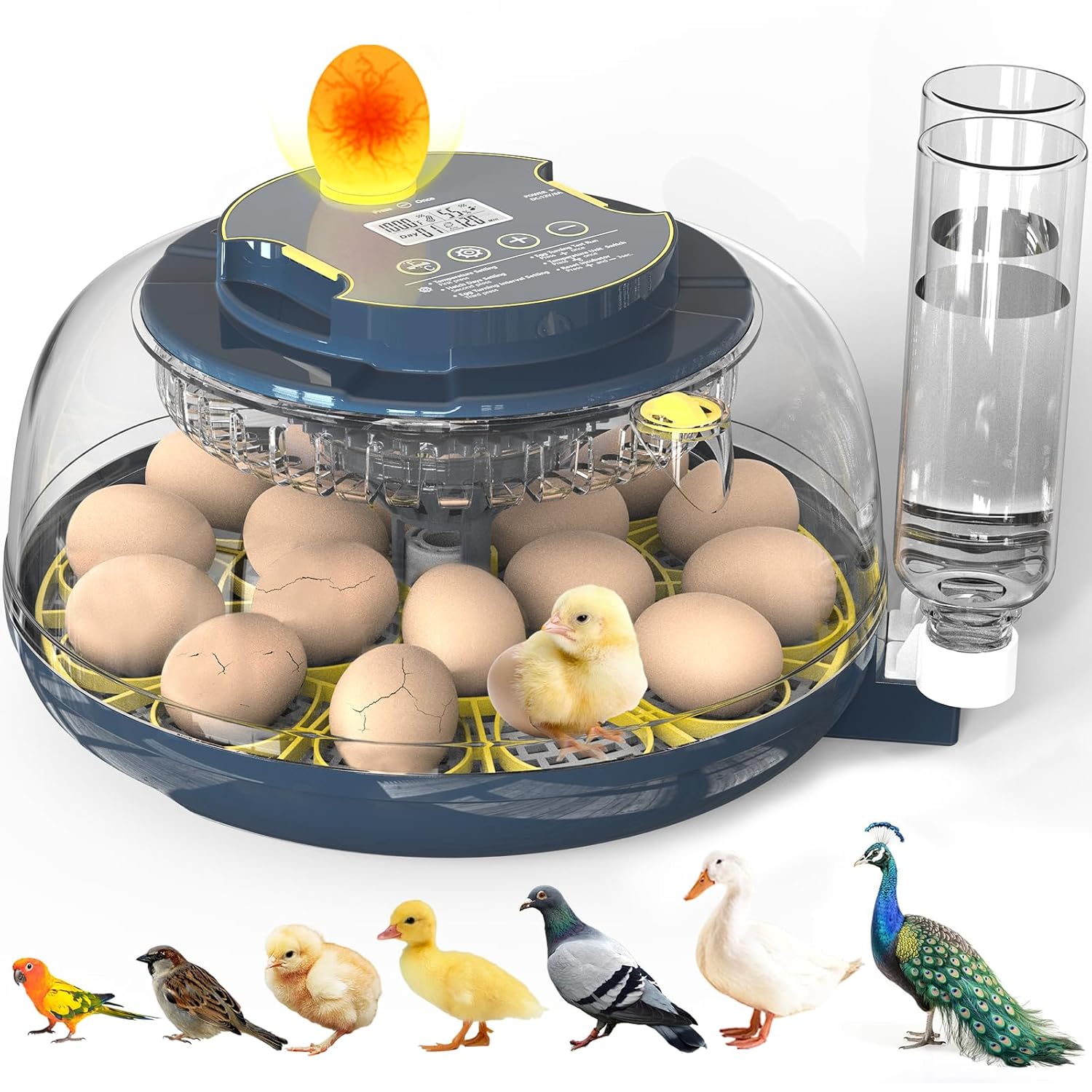 Incubators for Hatching Eggs, 18 Eggs Incubator with Egg Candler, Auto Egg Turner, Temp & Humidity Control, Hatch Day, Auto Water Refill, 2 Size Egg Tray, 360° Viewing for Chicken, Duck, Quail