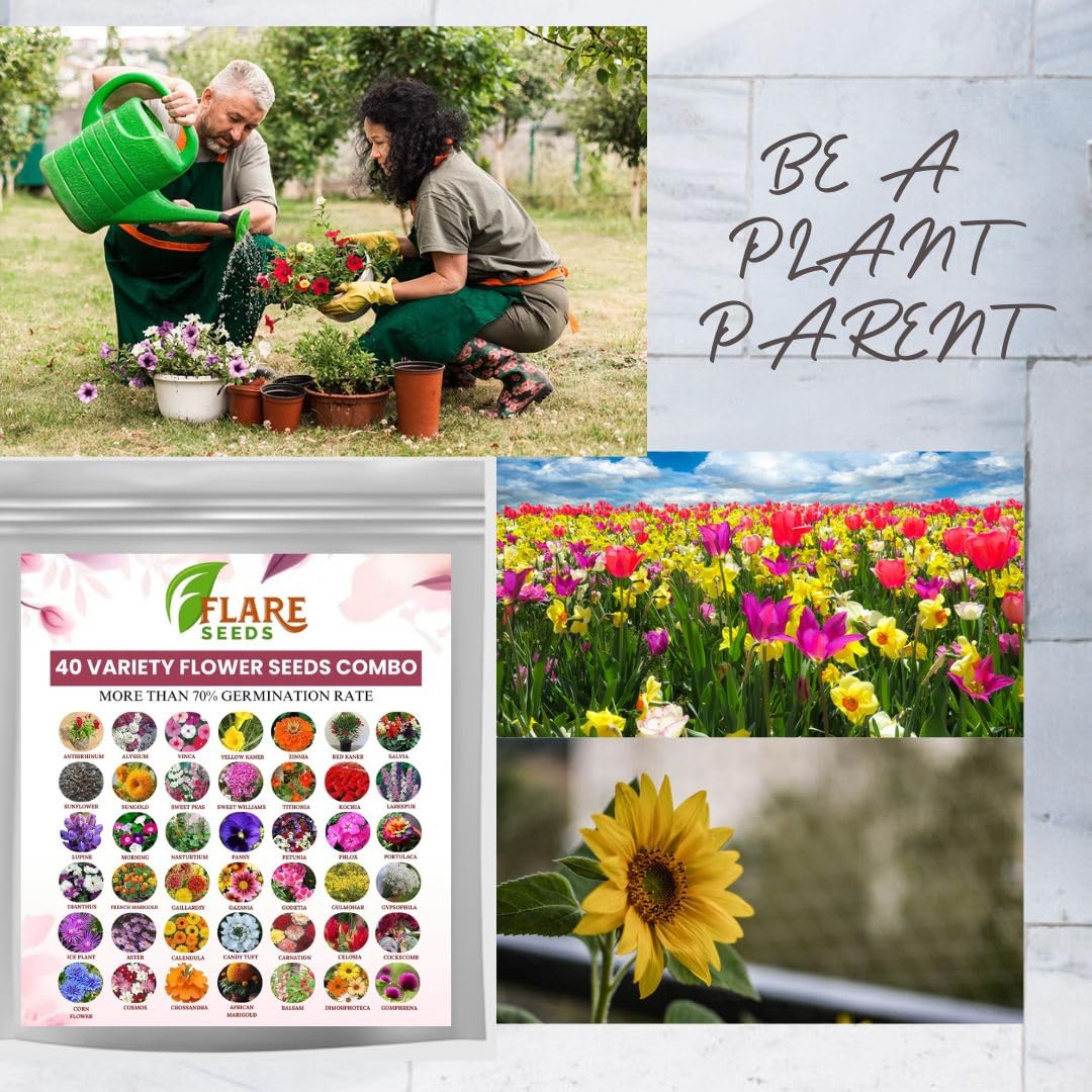 FLARE SEEDS India's Most popular Flower Seeds Outdoor Combo of 40 Packet of Seeds Garden Flower Seeds Pack Perfect Pack for Home Garden 2