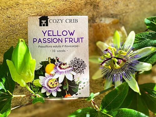 Miniatura 8 de Maracuyá Amarilla 10 Semillas Común Maracuya Granadilla Fruta Tropical Exótica Passiflora Fdulis F Flavicarpa Flor de la Pasión