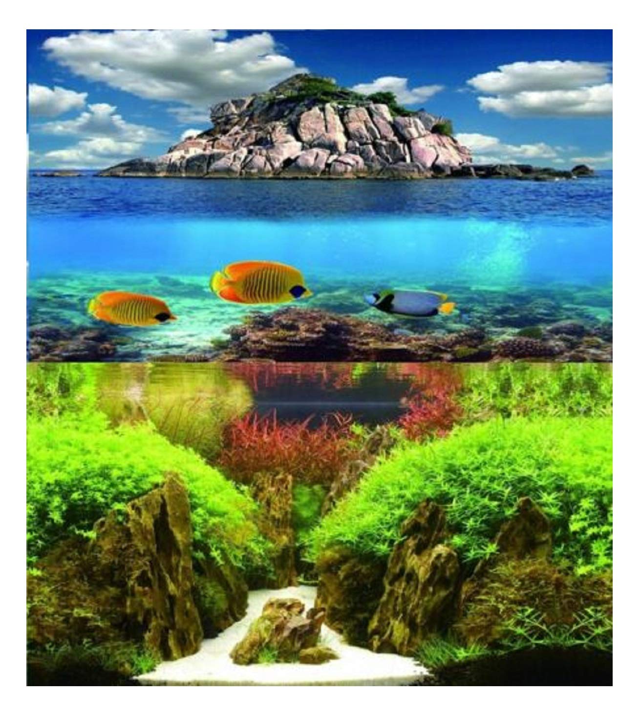 Hidom Aquarium Background Poster Double Sided - Height 12" / 30cm - Length 4 FT / 122cm - Two Scenic Pictures displaying Aquatic Backdrops - DS 300-9067/9082