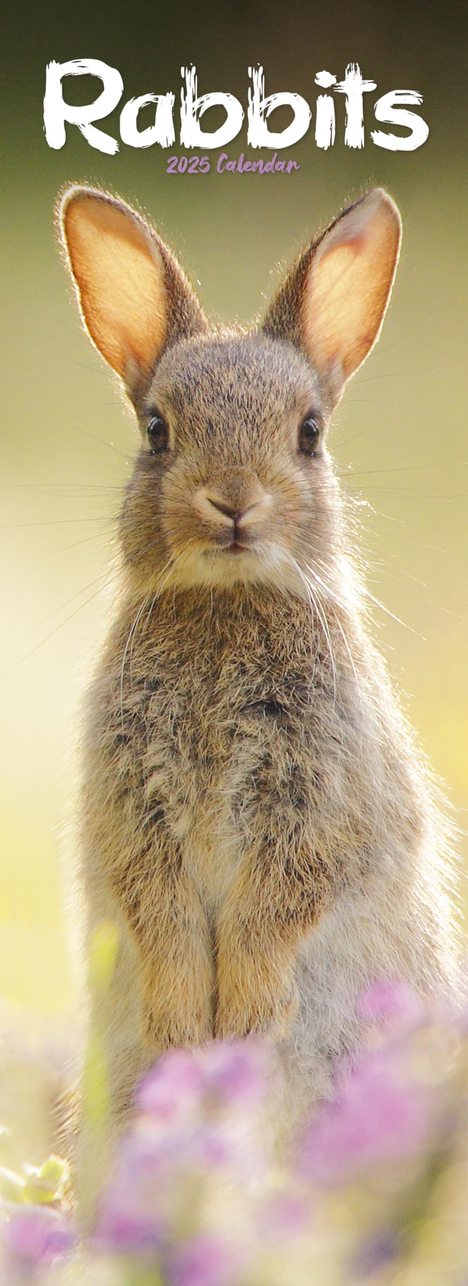 Rabbits Slim 2025 Slimline Wall Calendar | Animal, Pet, Wildlife Calendar