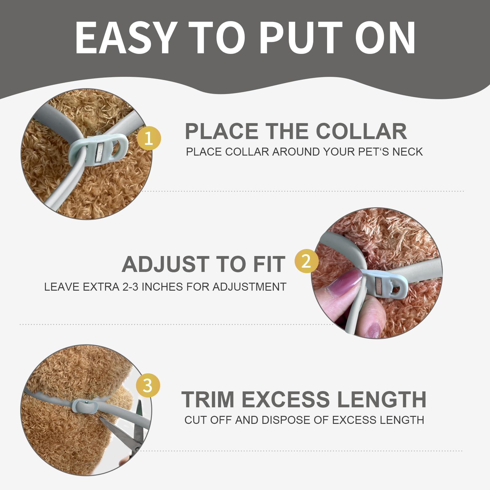 2 Collari Antiparassitari Per Gatti - Protezione 8 Mesi, Naturale, Impermeabile, Viola