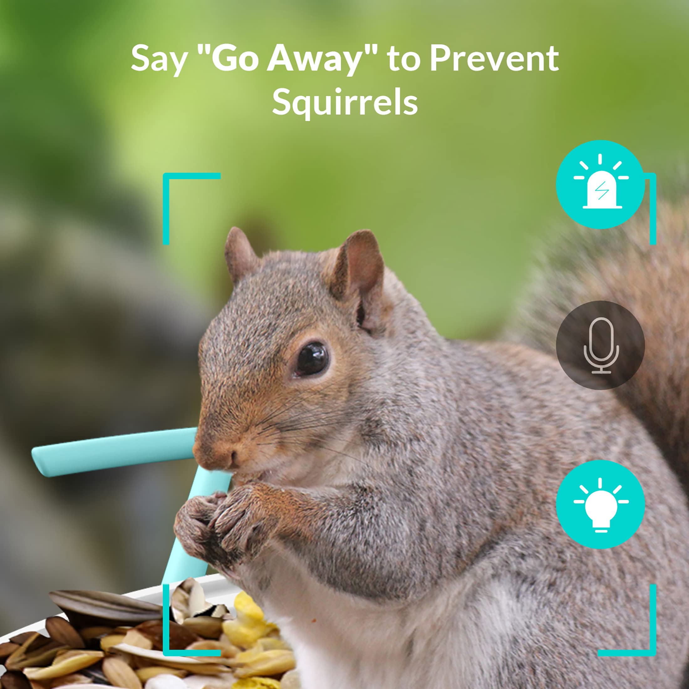 NETVUE Birdfy - Comedero Inteligente para Pájaros con Cámara y Panel Solar, Reconocimiento AI de Especies de Aves, Exterior con Potente Base de Datos de Aves