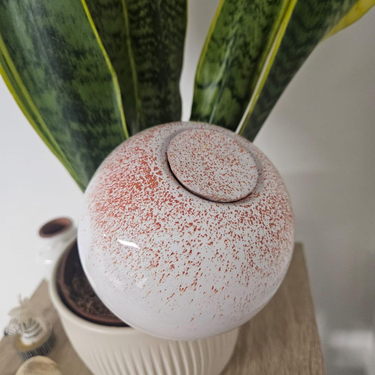 Coffret Ollas à Planter Décoré — Mini Olla 25 cl + Olla Rouge 40 cl + Olla Blanche 40 cl — Plantes d’Intérieur et Aromatiques — Fabrication Artisanale Française — Terre Cuite