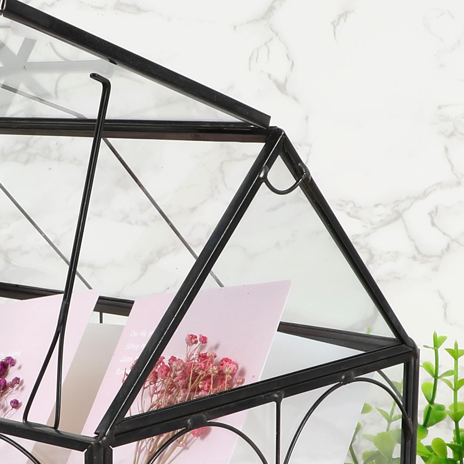 Terrarium en verre 22 cm pour plantes carnivores grasses géométrique