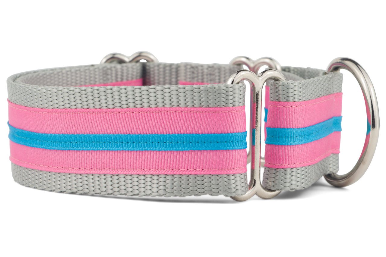 If It Barks - 1.5" Martingale Collar for Dogs - Stripe Design - Adjustable - Strong and Comfy Nylon - Ideal for Training - Made in USA - Large, Hot