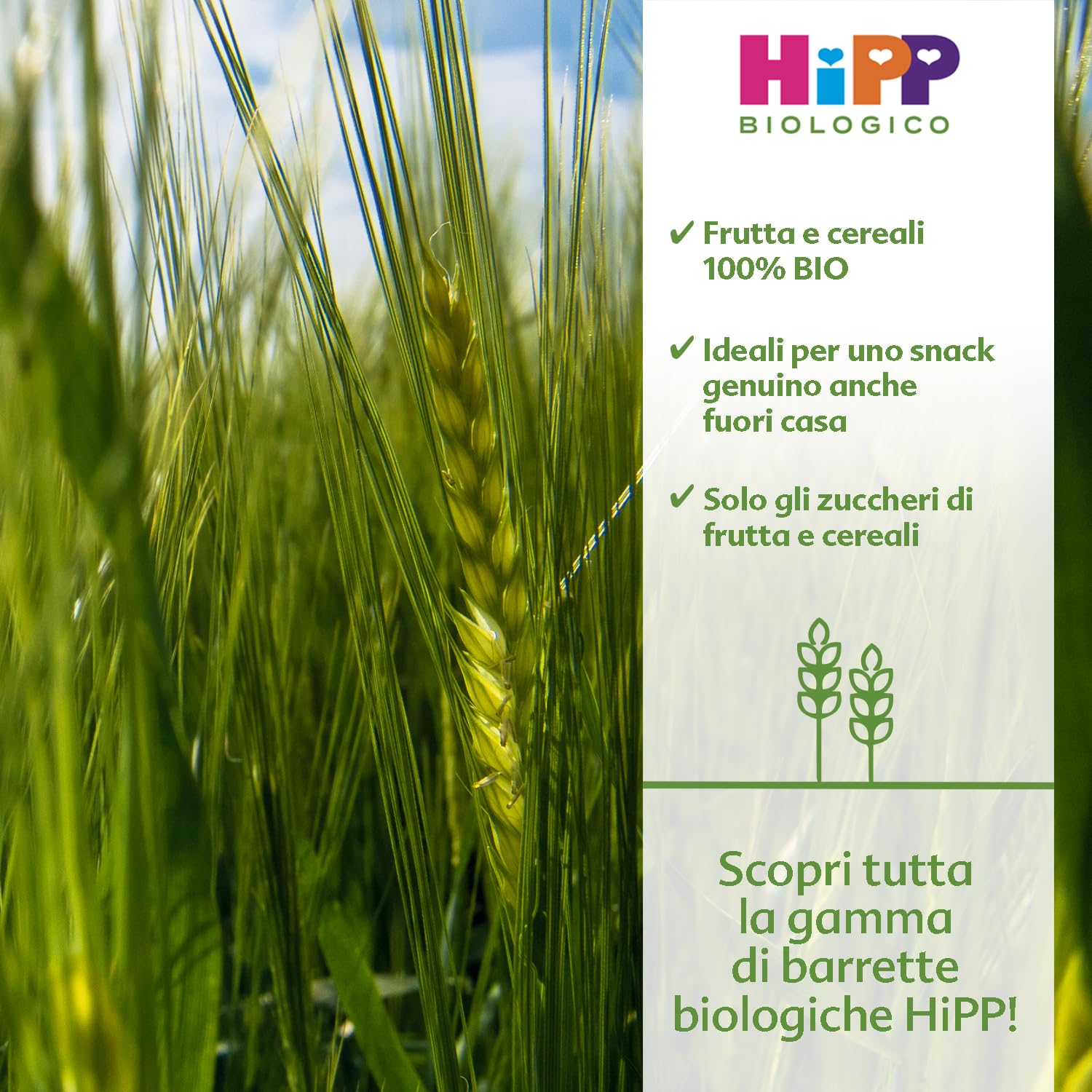 HiPP - Barrette alla Frutta Bio, Gusto Mela, Banana e Cereali, Snack per Bambini, 22 Pezzi da 23 gr ciascuno