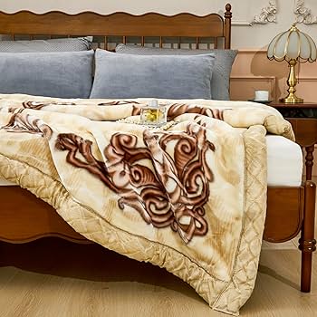 Amazon.com: LGYKUMEG Korean Mink Blanket 59x79 inch, Throw