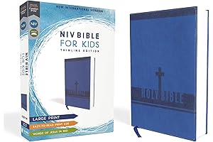 NIV Bible for Boys: Leathersoft, Large Print, Comfort Print