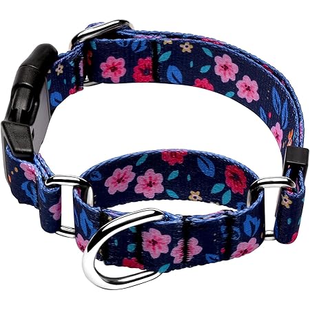 Dog Training Choke Collar Adjustable Dog Prong Training Collar - Foto 11