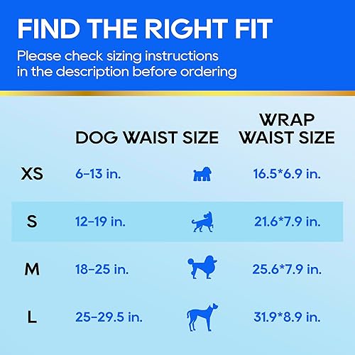 Miniatura 3 de HONEY CARE All-Absorb A26 - Envoltura para perro macho, 50 unidades, pequeña