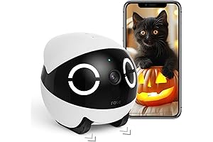 ROLA: Your Pet's Dynamic Watchdog with Mini 2K Camera Robot