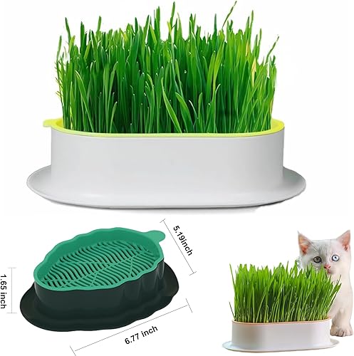 Miniatura 3 de Maceta de hierba de gato, bandeja de brotes de semillas de hierba gatera, kit de cultivo hidropónico de hierba de gato (no incluye semillas) caja de