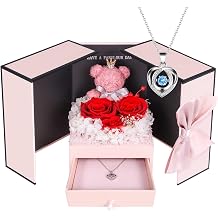 ADDWel Preserved Rose Gift Box with 925 Sterling Silver Necklace for Her