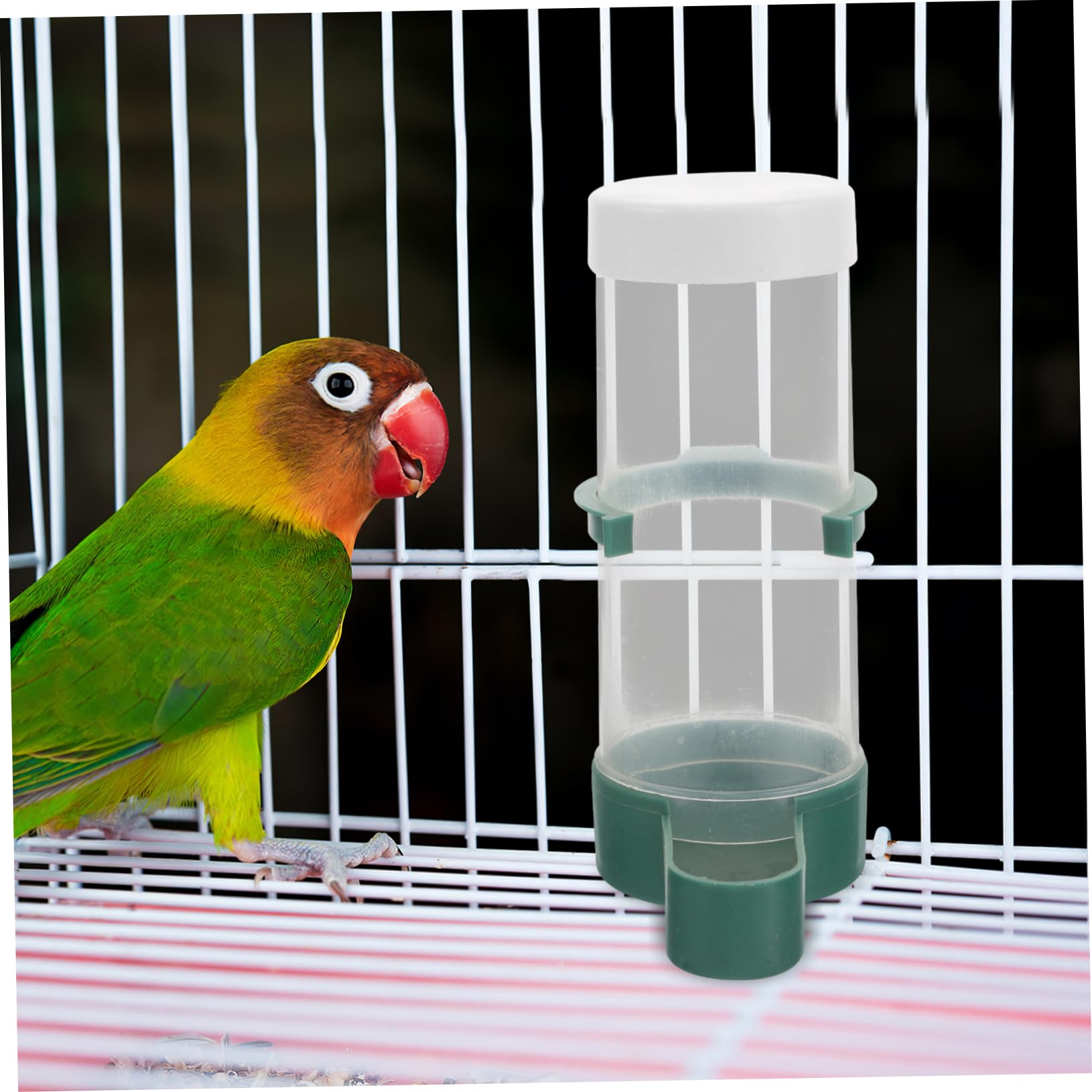 20stücke Automatischer Vogeltrinker Und Futterspender Für Sittiche Kanarienvögel Und Papageien Für Vogelkäfige Einfach Nachzufüllen Und Ausgewogene Ernährung