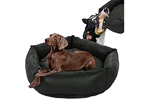 HOMBYS Tough Dog Bed: The Ultimate Chew-Proof Haven for Your Mighty Canine
