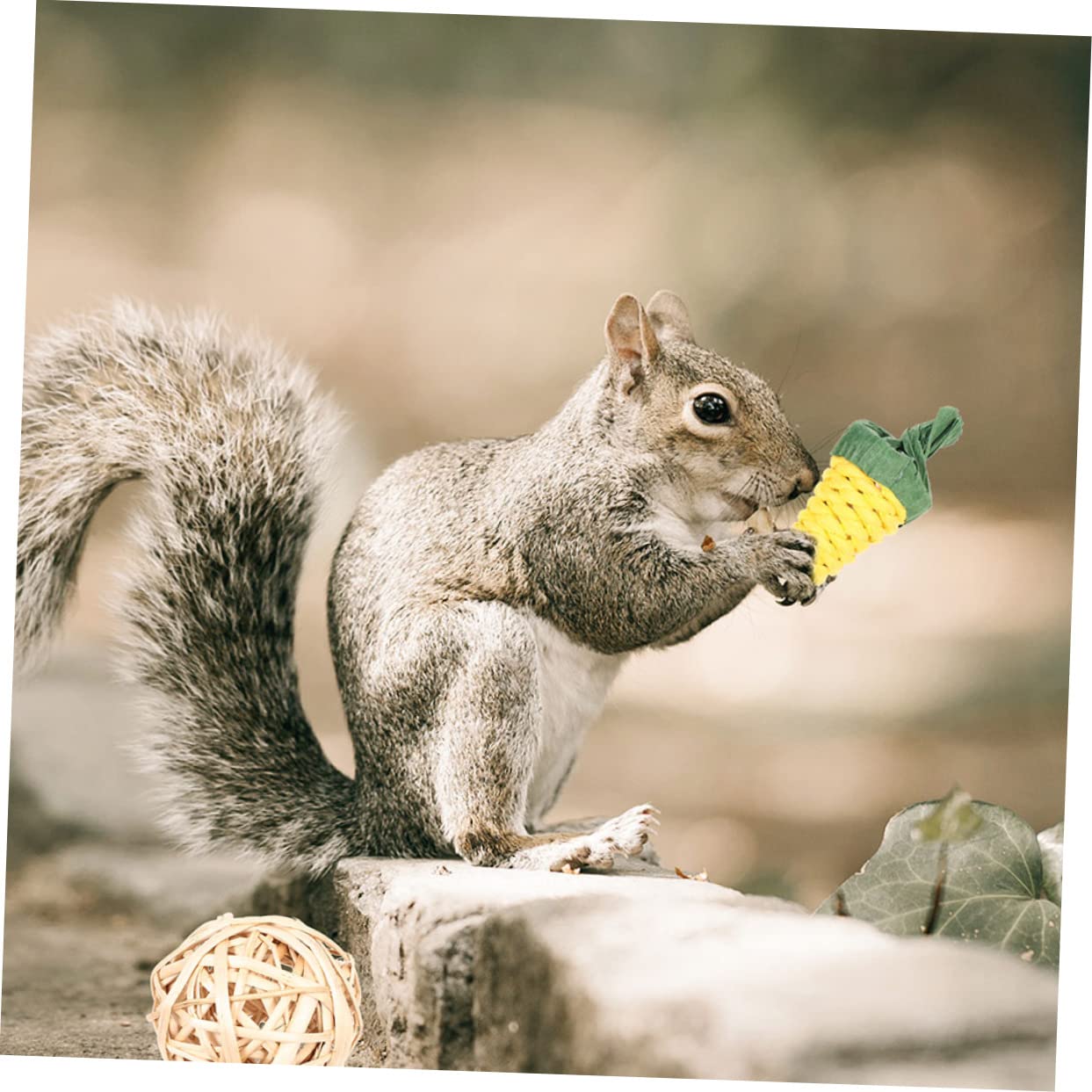 BESPORTBLE 36piezas Juguetes para Hámster y Pequeños Roedores Accesorios De Enriquecimiento para Conejillos De Indias Chinchillas y Conejos Juguetes Masticables Naturales para Actividad y