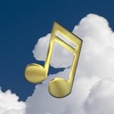 Categorize radio sites according to genre, region and source and search for them easily.