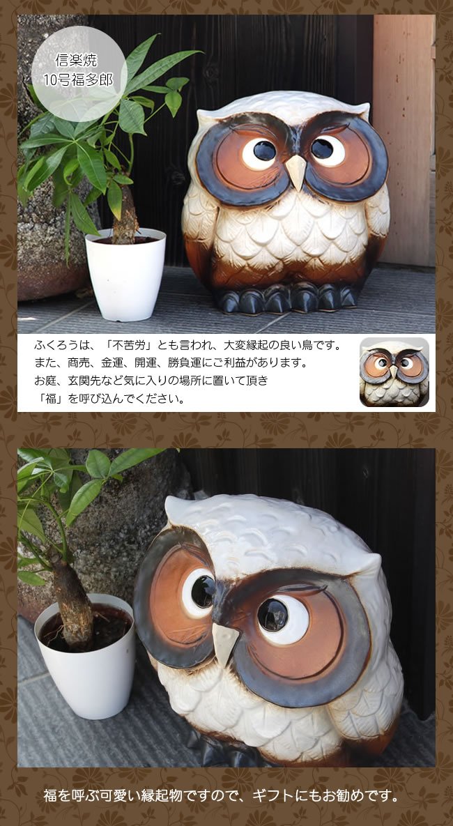 Amazon.co.jp: 信楽焼 10号福多郎(白)【fu-0139】 ふくろう 梟 陶器