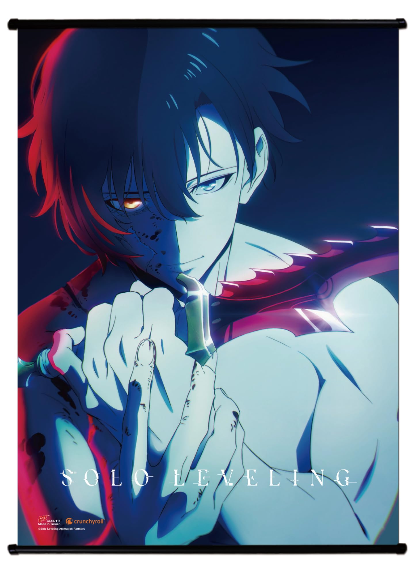 Solo Leveling Sung Jinwoo Teaser Wall Scroll Review