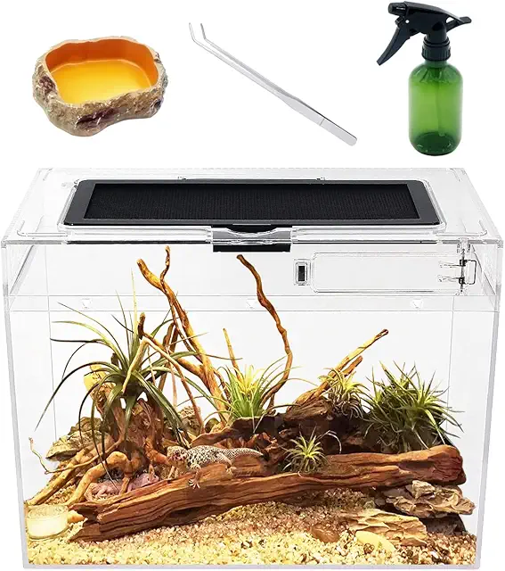 Reptile Growth Terrarium Complete Set - 30x18x24cm Glass Enclosure for Geckos, Spiders, Snakes