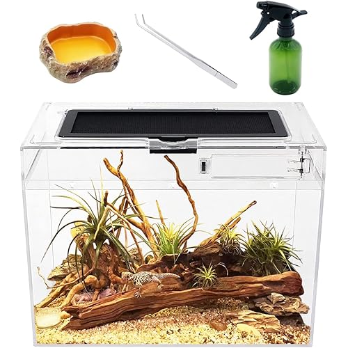 Mini Reptile Terrarium,12" x 7"x 9" Reptile Tank with Full View Visually Appealing，for Insect，Fish，Tarantula，Hermit crab，Jumping spider，Iguana，Tortoise，Leopard Gecko，Frog，Bearded dragon