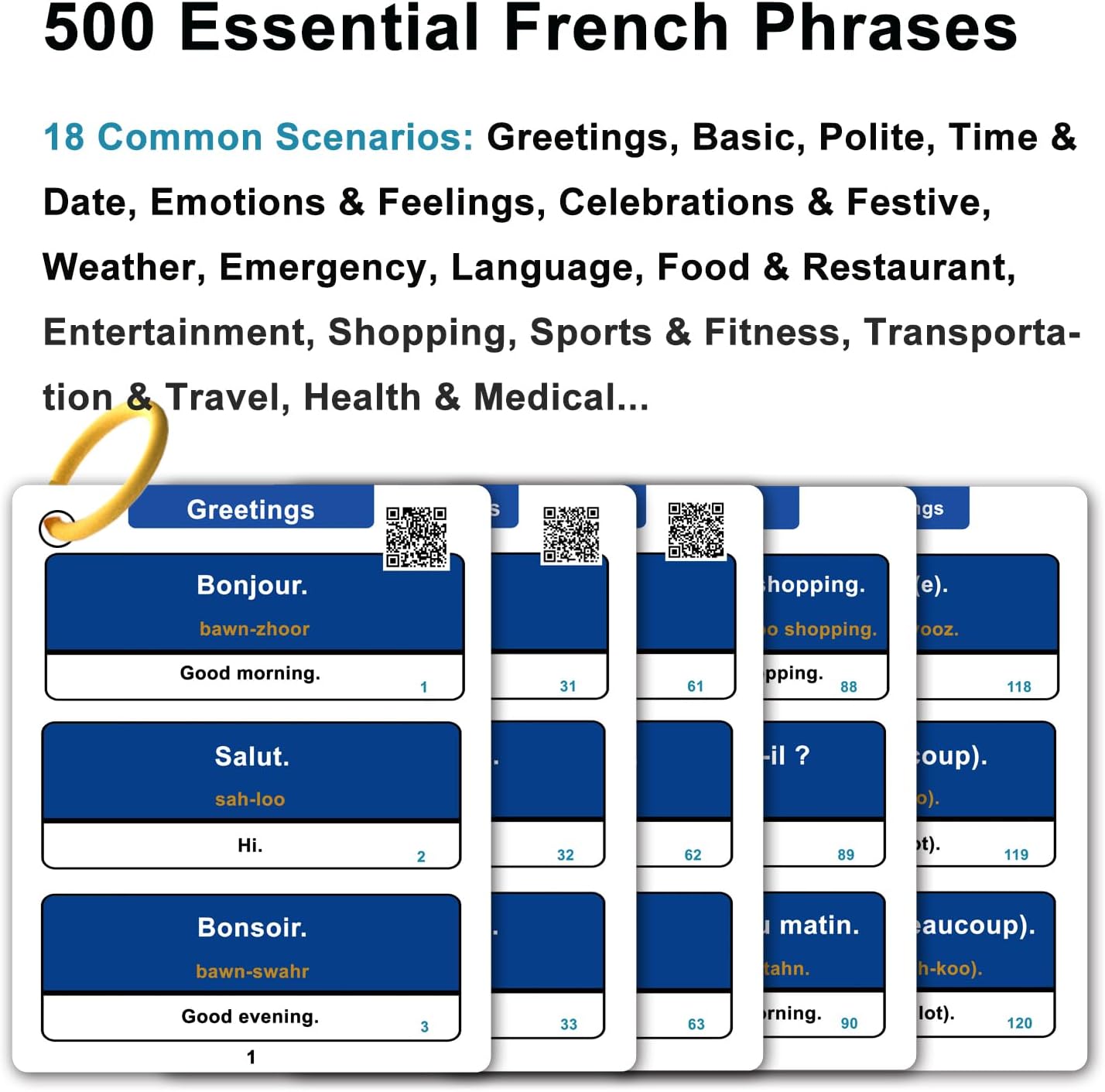 501 Common French Phrases Flash Cards