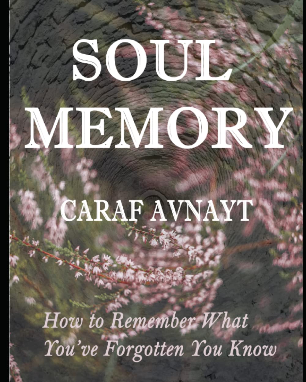 SOUL MEMORY: How to Remember What You've Forgotten You Know