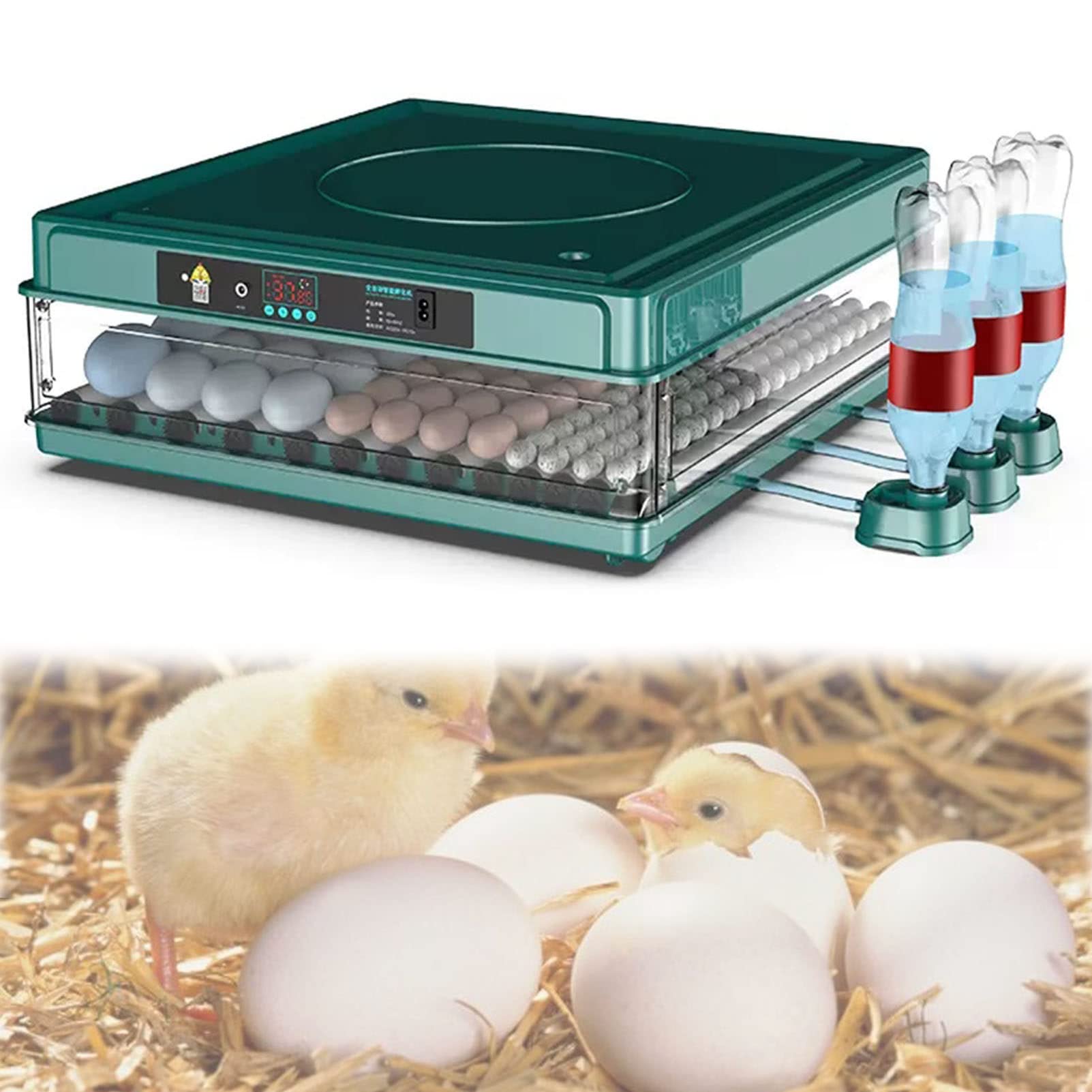 Incubatore Per Uova 8 Pollame - Controllo Temperatura E Umidità, 360° Trasparente, LED, Portatile - Foto 4