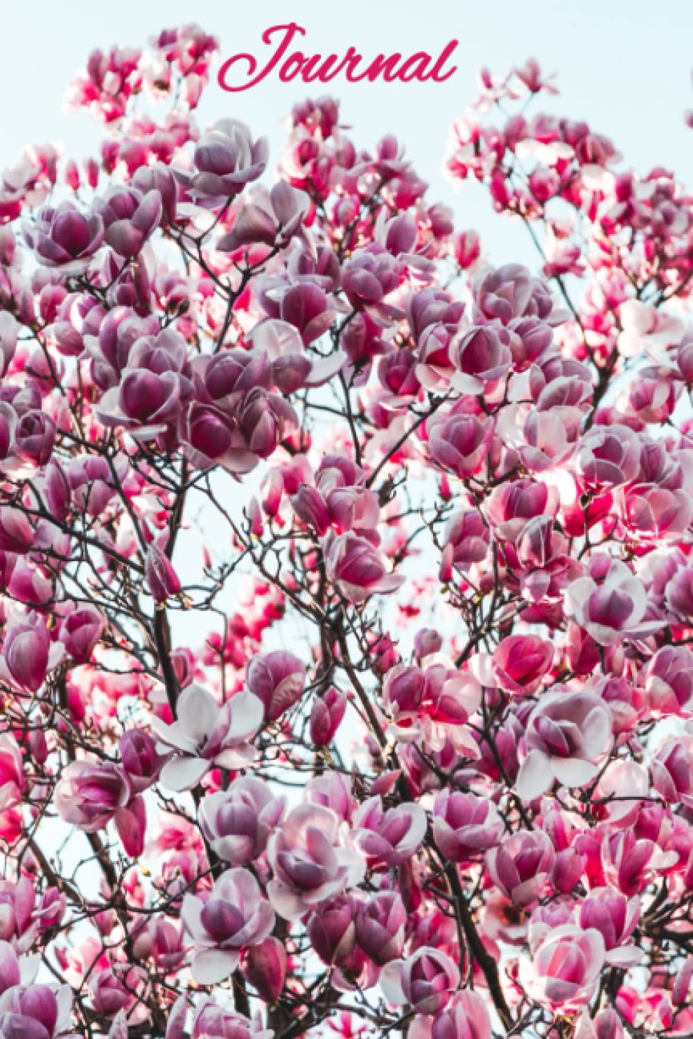 Daily All Purpose Journal