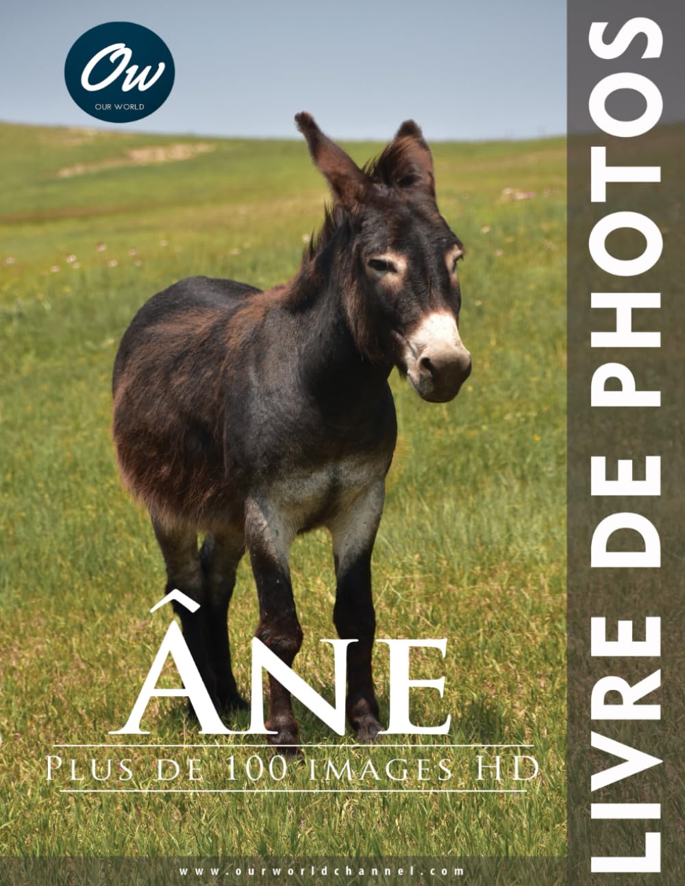 Âne: Livre de Photos