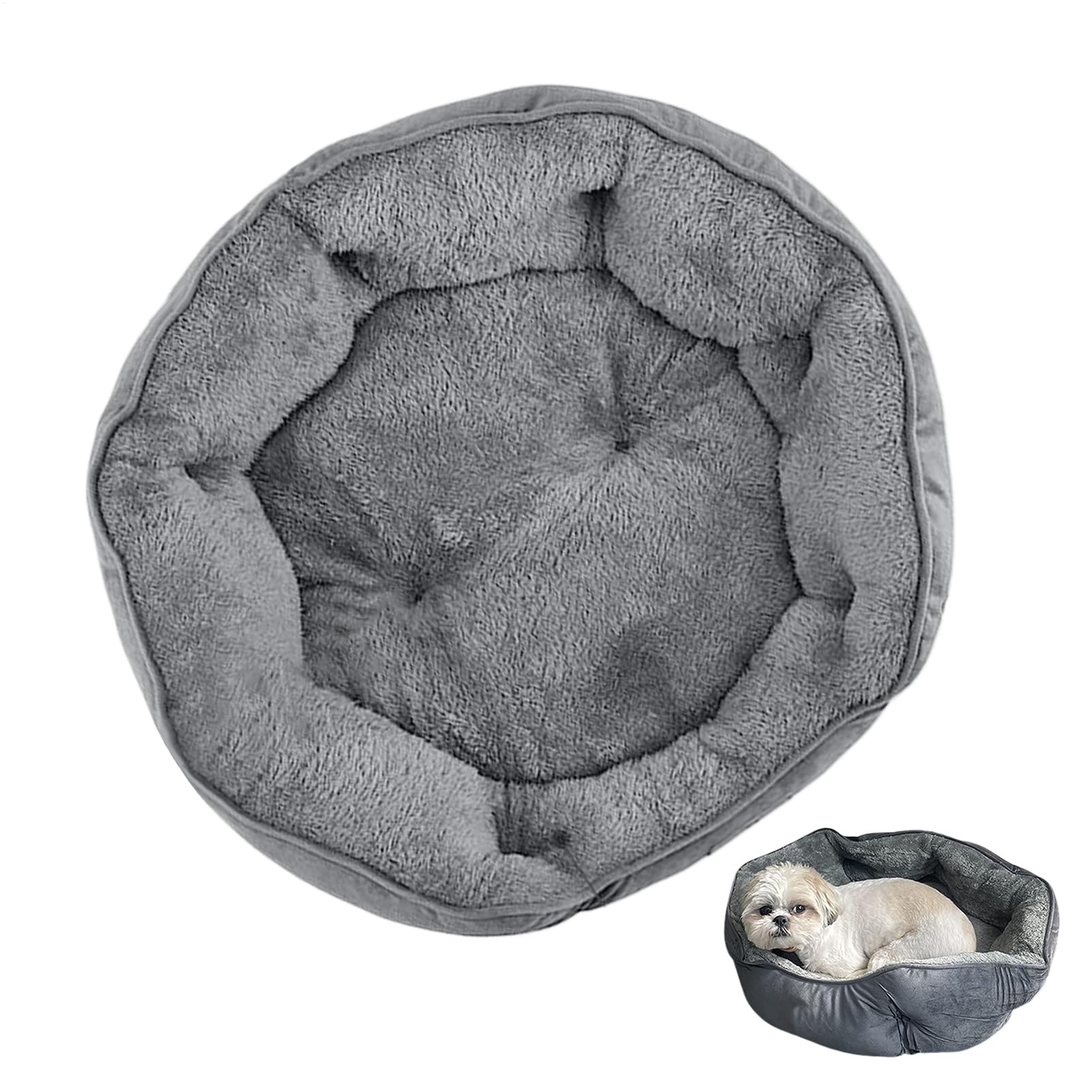 Niche pour chat isolée pour protéger vos animaux au jardin en hiver