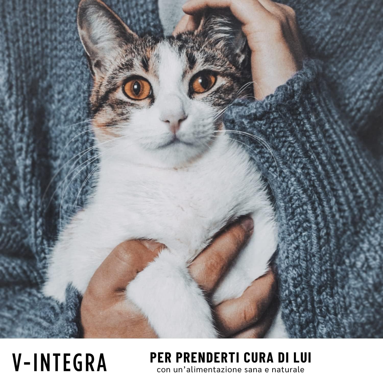 V-INTEGRA Gatto Adulto - Integratore Completo Ricco di Vitamine e Minerali, per la Dieta Casalinga di gatti adulti di tutte le età - 200g - Made in Italy