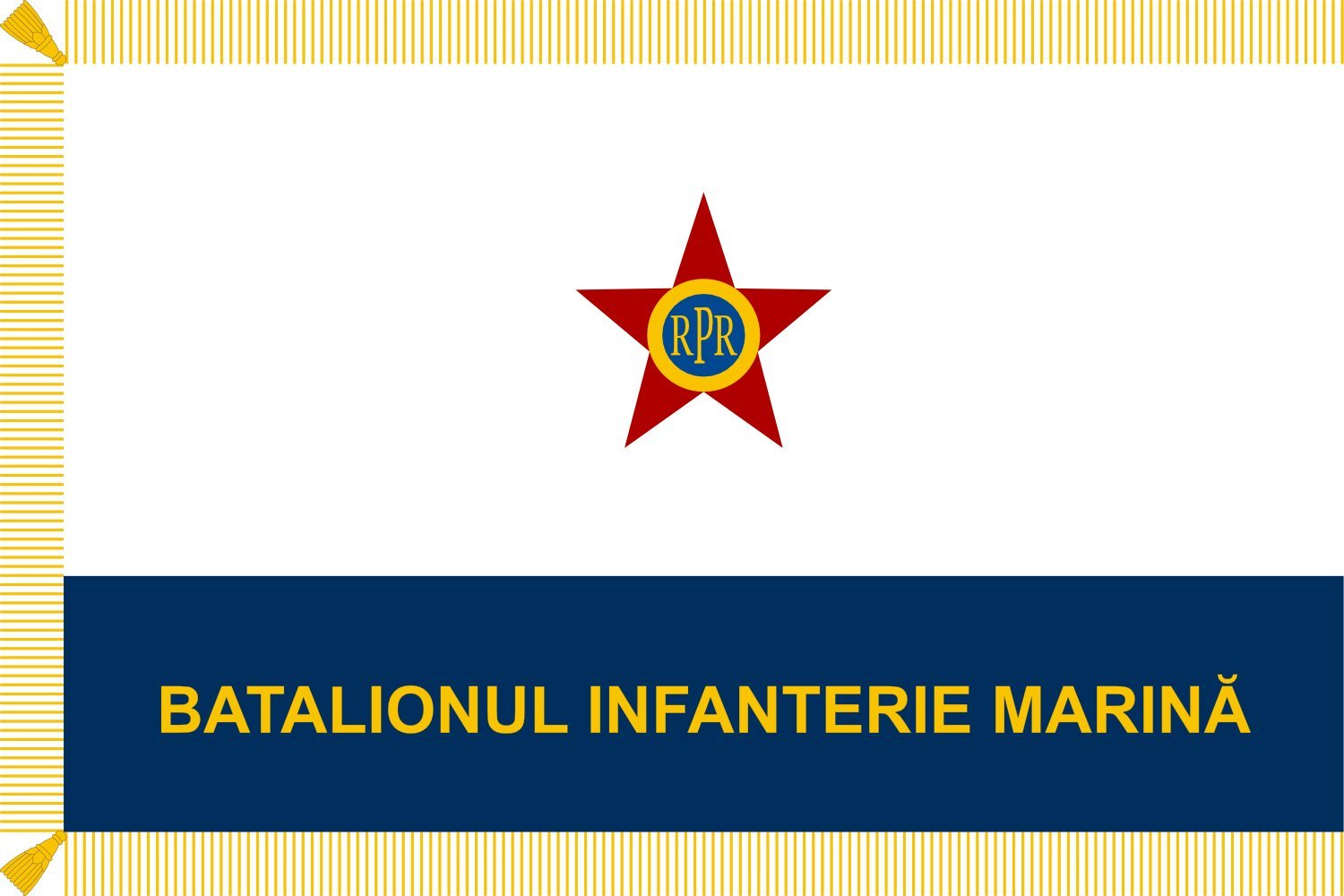 Drapeau Naval Force of Romania 1950-1965 grand format imprimé biface pour collectionneur