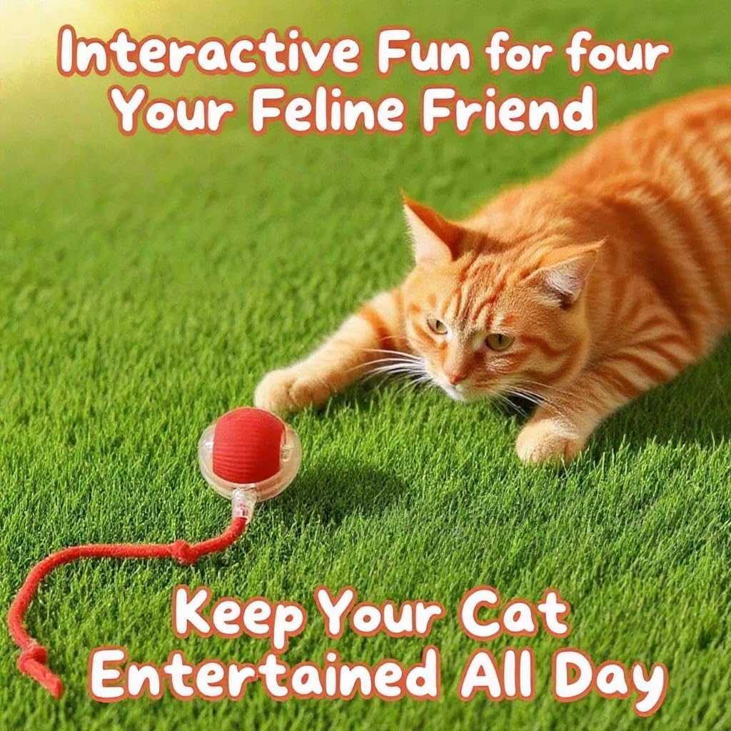 Interactive Cat Toys for Indoor Cats - Motion Activated Cat Balls with 360° - Kitten Toys to Relieve Boredom for Bored Kitten Pet Cats Dogs (3 Colors)