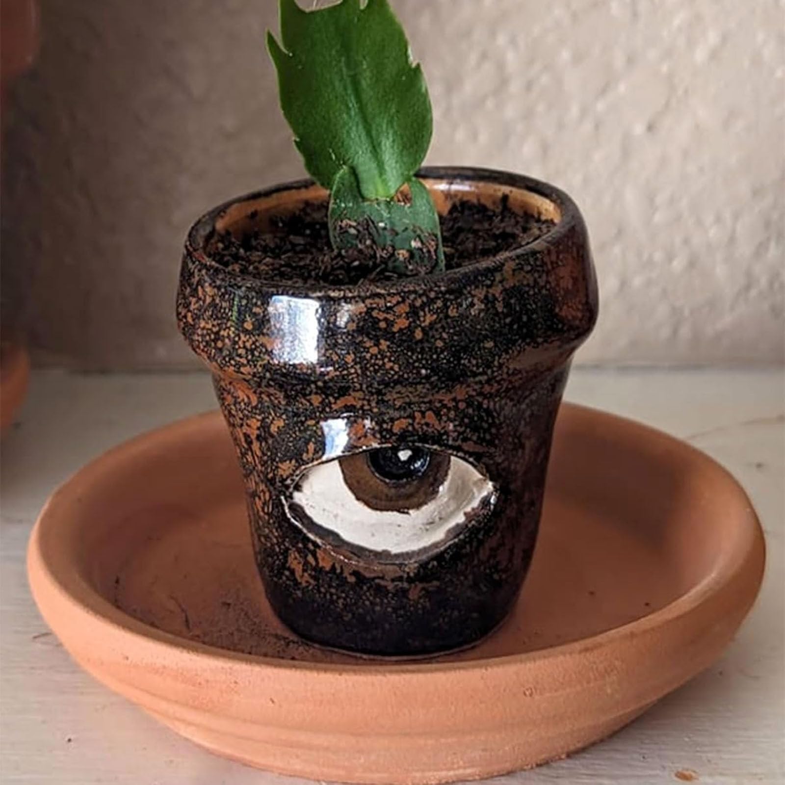 手描き　鉢植え　ハンドメイド Amazon.co.jp: Zhuaguo ハンドメイド泣く植木鉢、面白い目の植木鉢