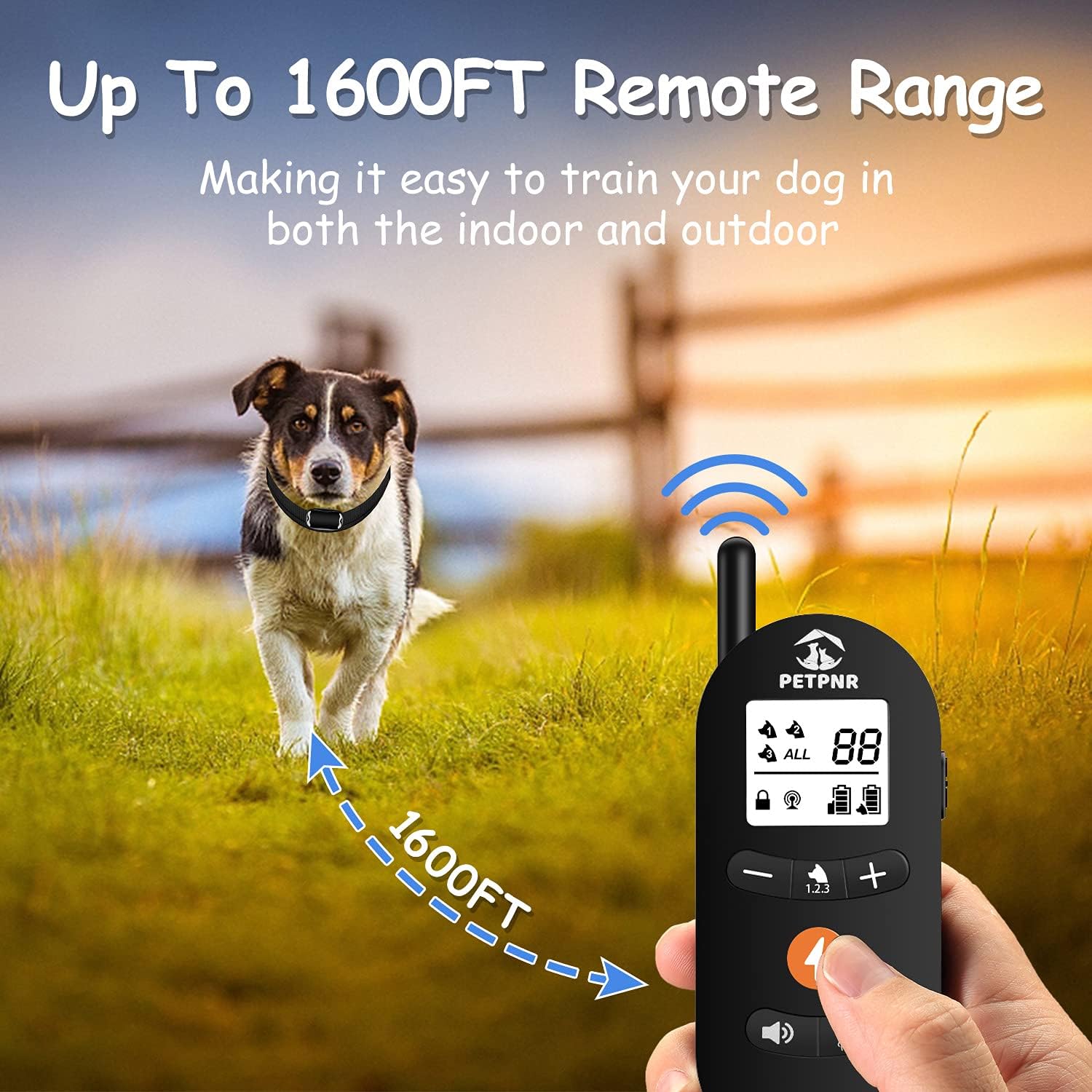 Dog being trained with remote control at a distance, illustrating 1600ft range