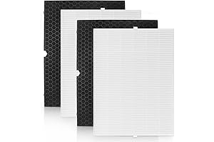 Winix 116130 Replacement Filter H for Winix 5500-2 Air Purifier and Winix AM80