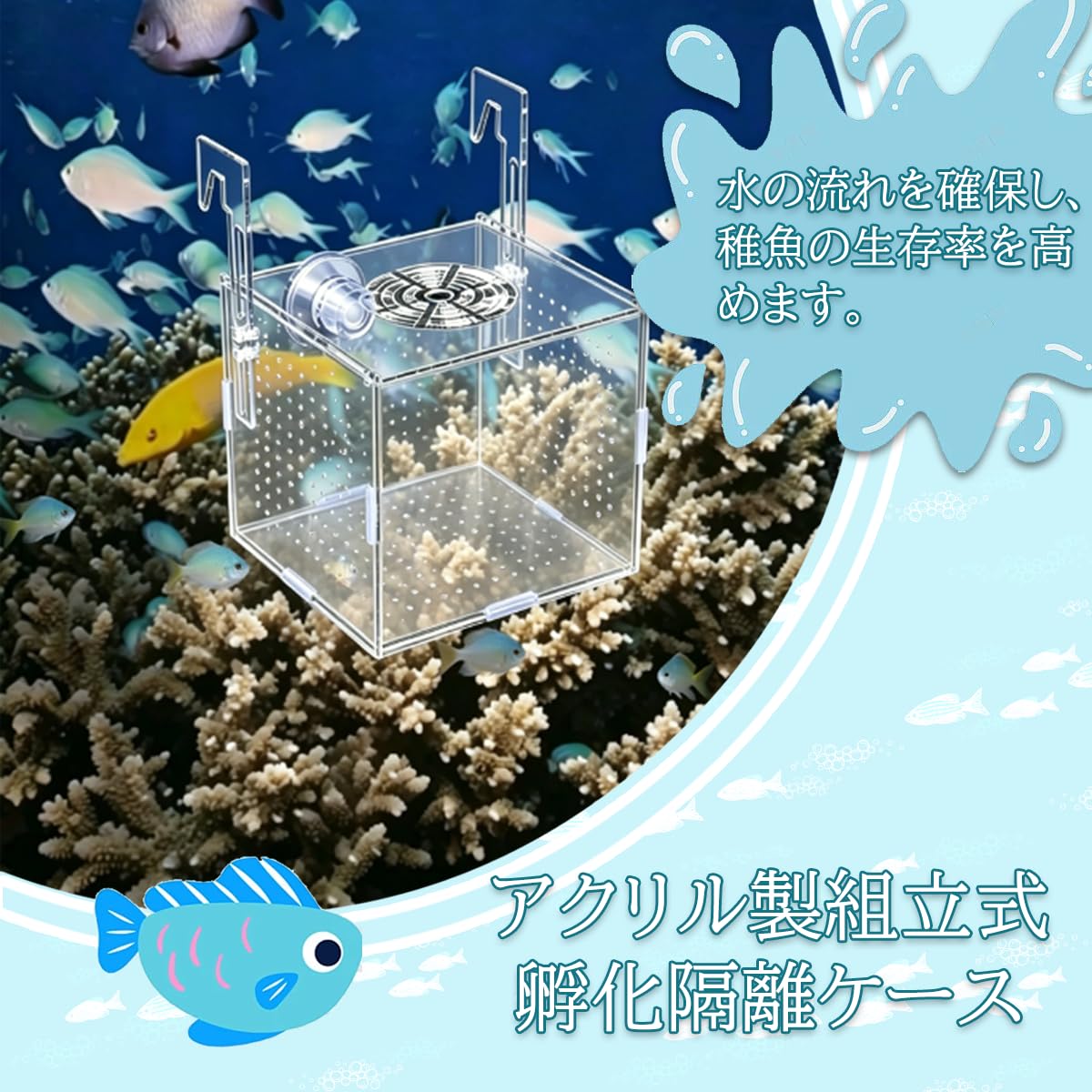 稚魚繁殖隔離ボックス フック付き 吸盤付き 透明アクリル製 水槽用隔離ケース メダカ・熱帯魚飼育 産卵箱 孵化ケース 稚魚保護 魚分離ボックス 取り付け簡単 多機能 省スペース 水族館アクセサリー - 3