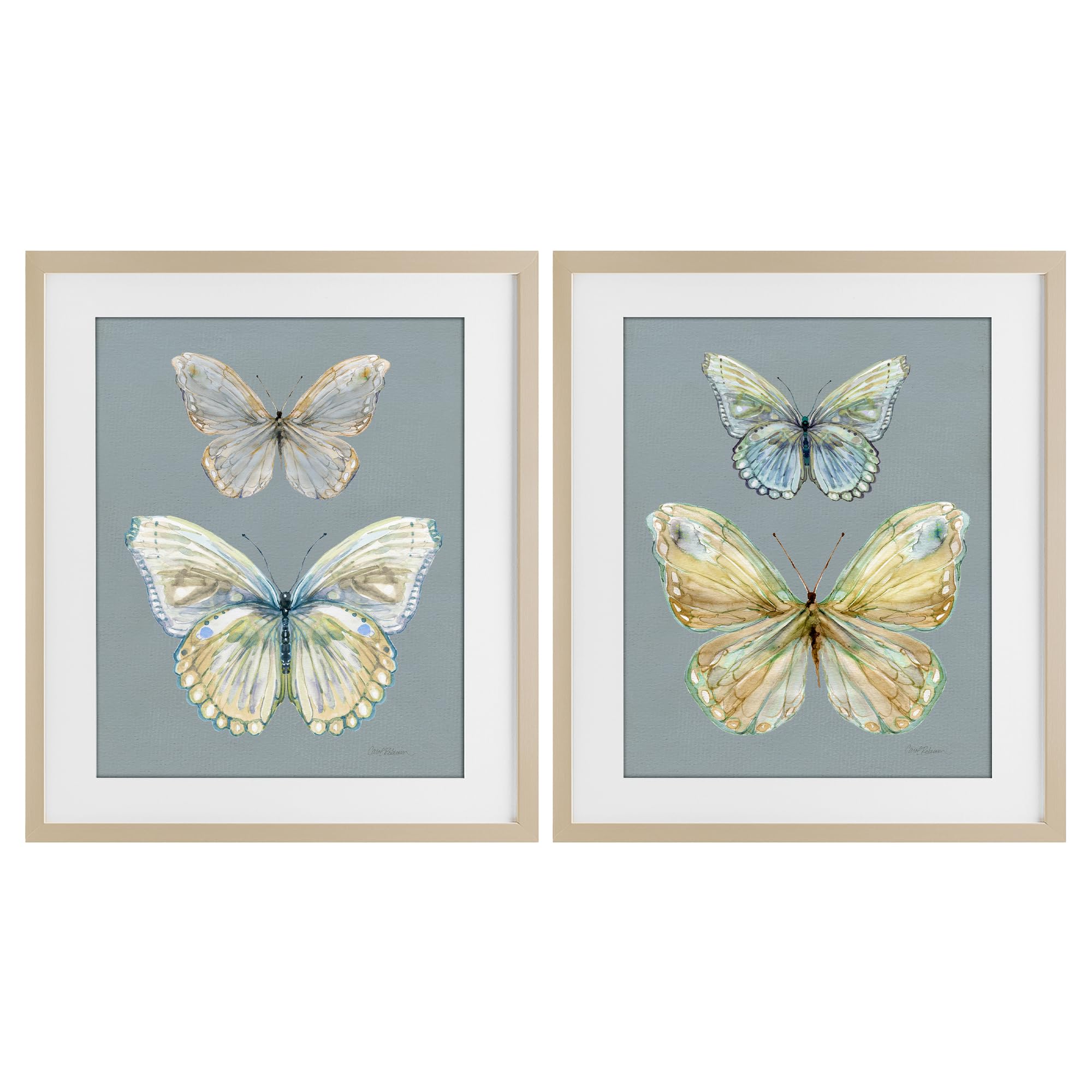 'Butterfly Pairs over Slate'| 2pc Framed Print Under Glass Set