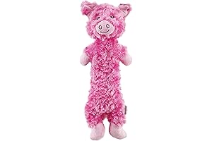 Outward Hound Lil Dudes Pig Plush Squeaky Dog Toy: For Tough Chewers