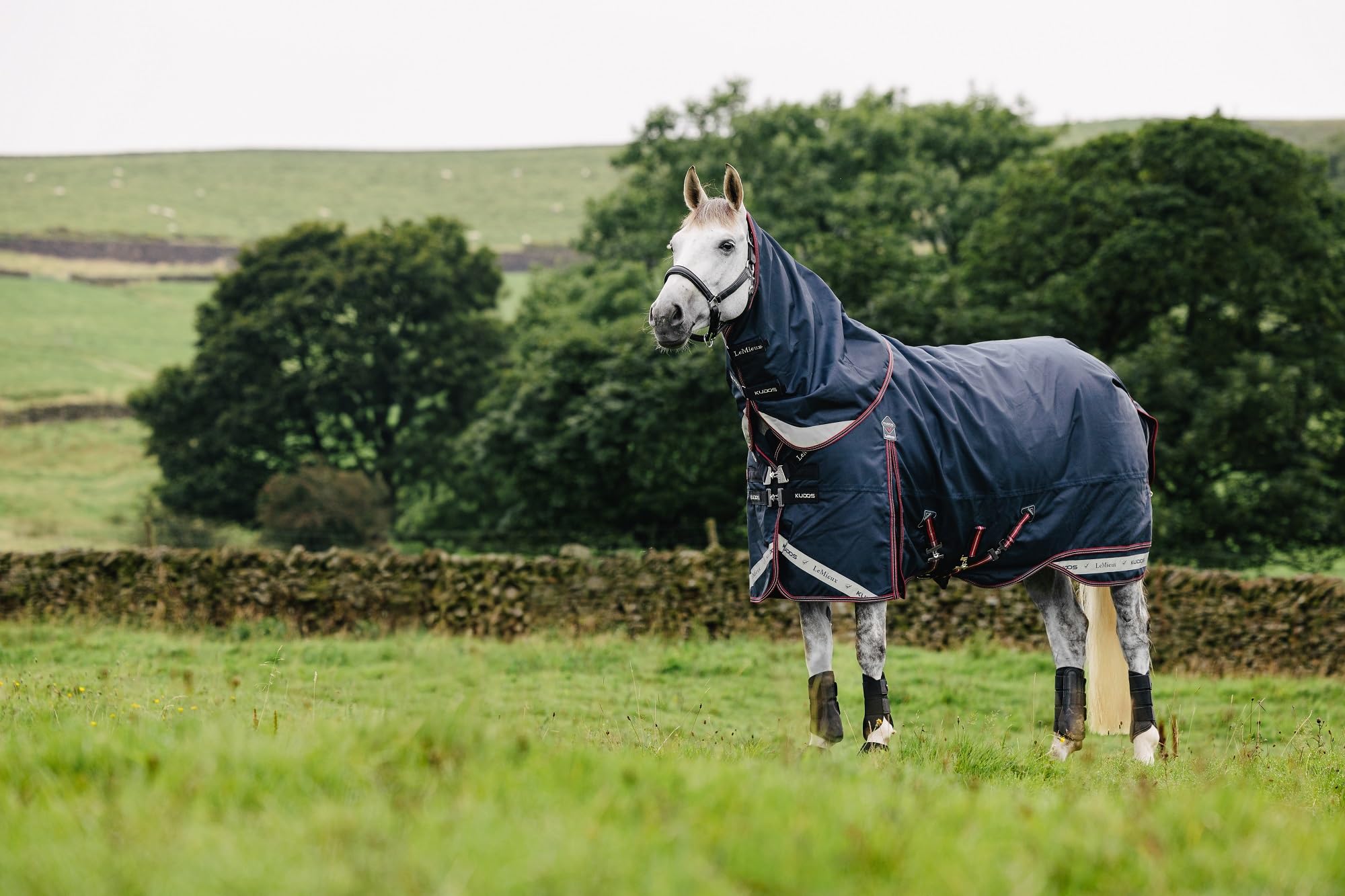 LeMieux Kudos Turnout Rug 100g - 1680D Waterproof Outer - Detachable Neck Included - Navy - 6ft