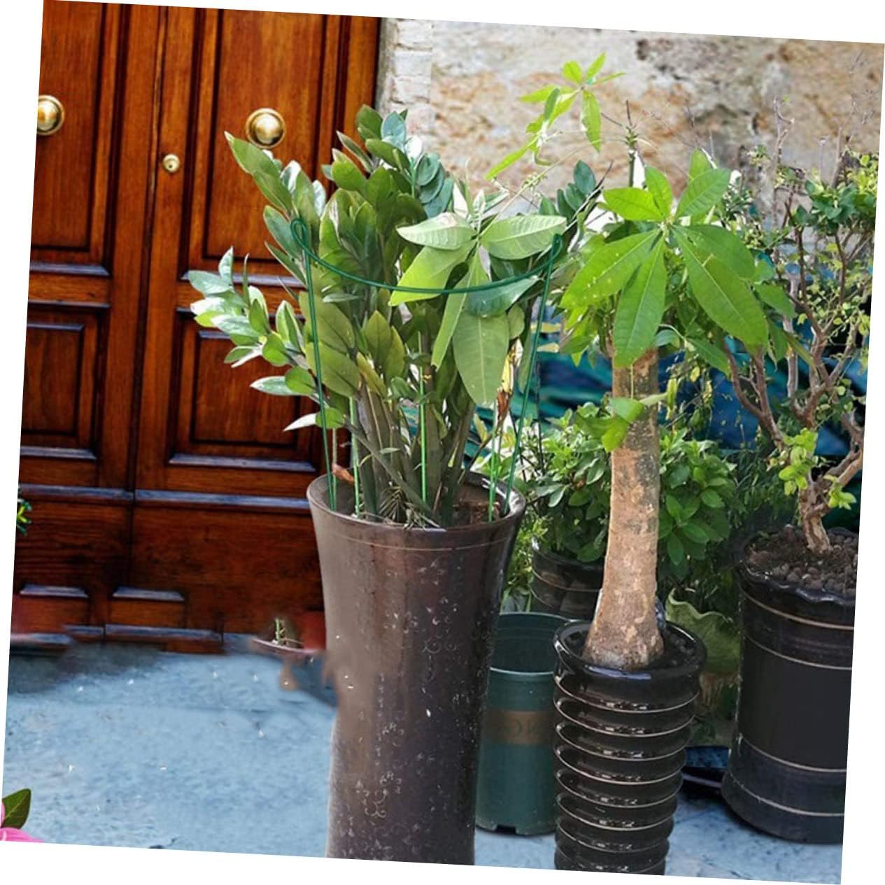 6pcs Medium Iron Plant Support Stands Half Round Garden Support Rods for Climbing Plants and Vines for Indoor and Outdoor Use Stable Performance for Orchids and Officinale