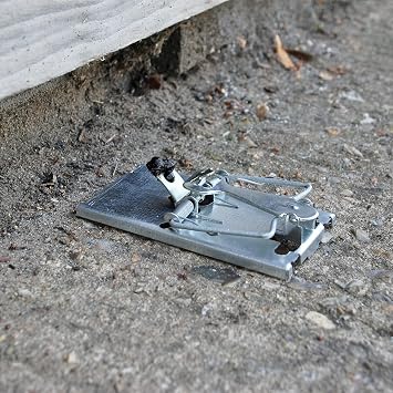 Selfset Mouse Trap Kills Mice Galvanised Metal Strong, Quick Snap and Hold