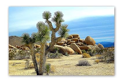 Namaste Home - Coachella Valley Hikes - Nature - Poster for Wall - (Laminated Paper, Medium Size, 18X12 Inches, Multicolour)