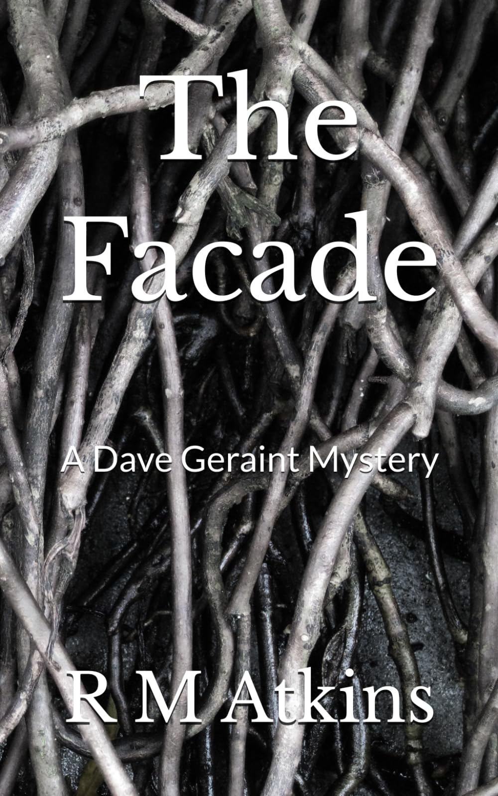 The Facade: A Dave Geraint Mystery