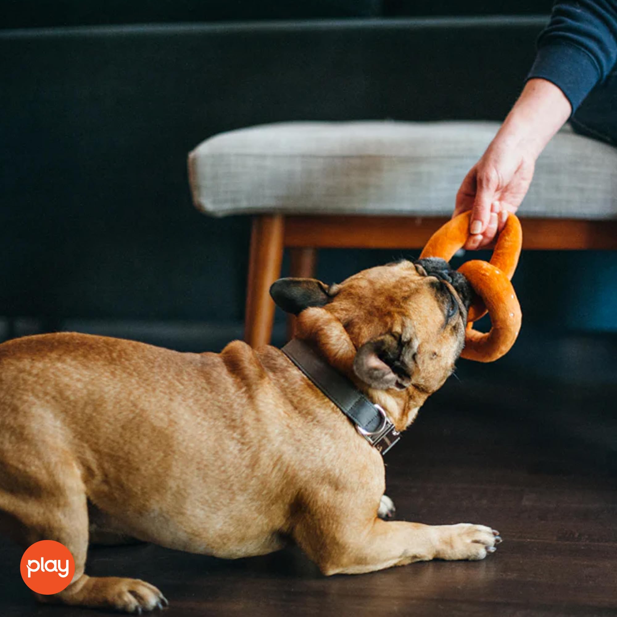 P.L.A.Y. Pet Lifestyle and You - Pluszowa zabawka dla psów i kotów - precel
