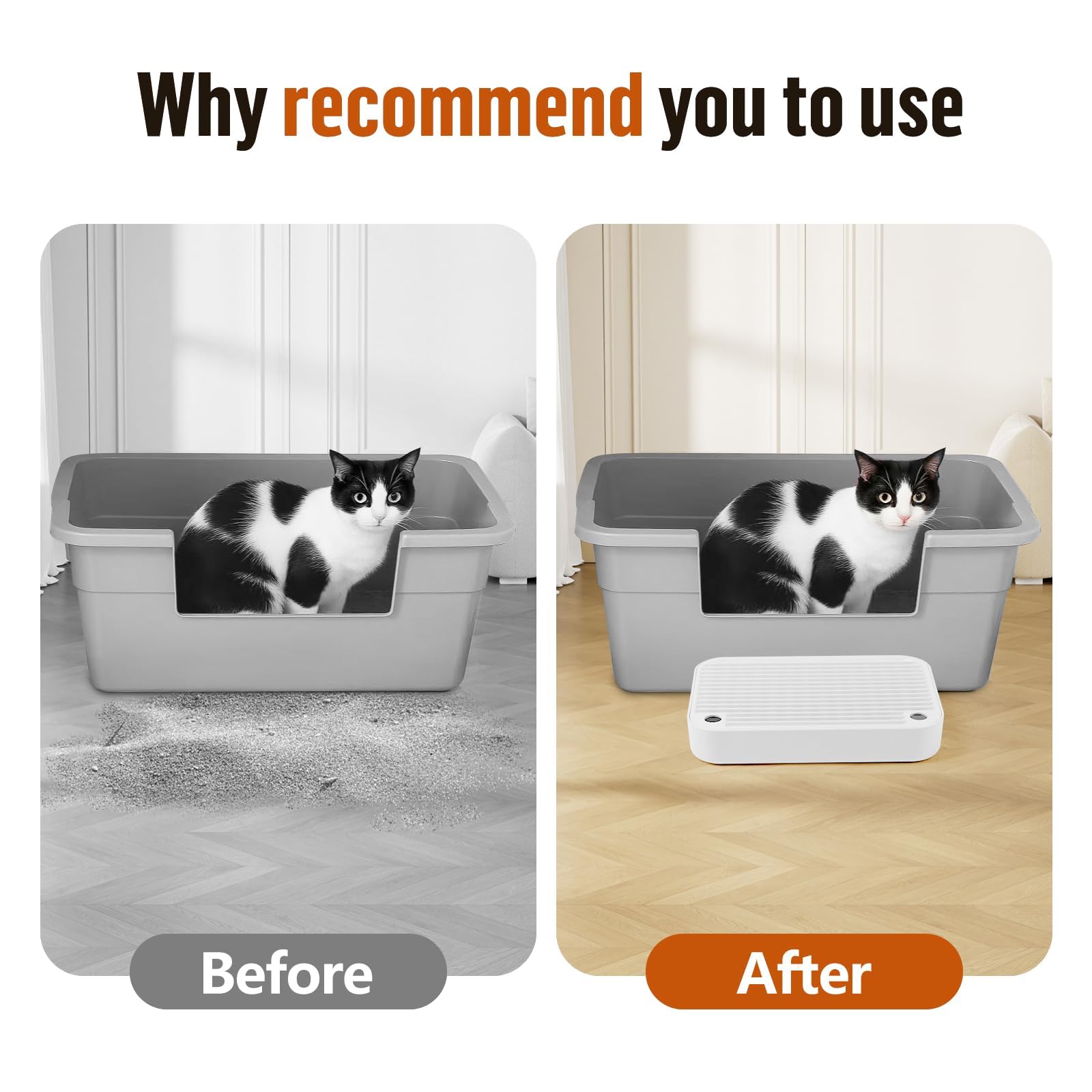Kalolary Rampe de litière pour Chat avec Couche filtrante - Marches antidérapantes pour litière - Idéal pour Les Chats de Petite et Moyenne Taille (Blanc Plat)