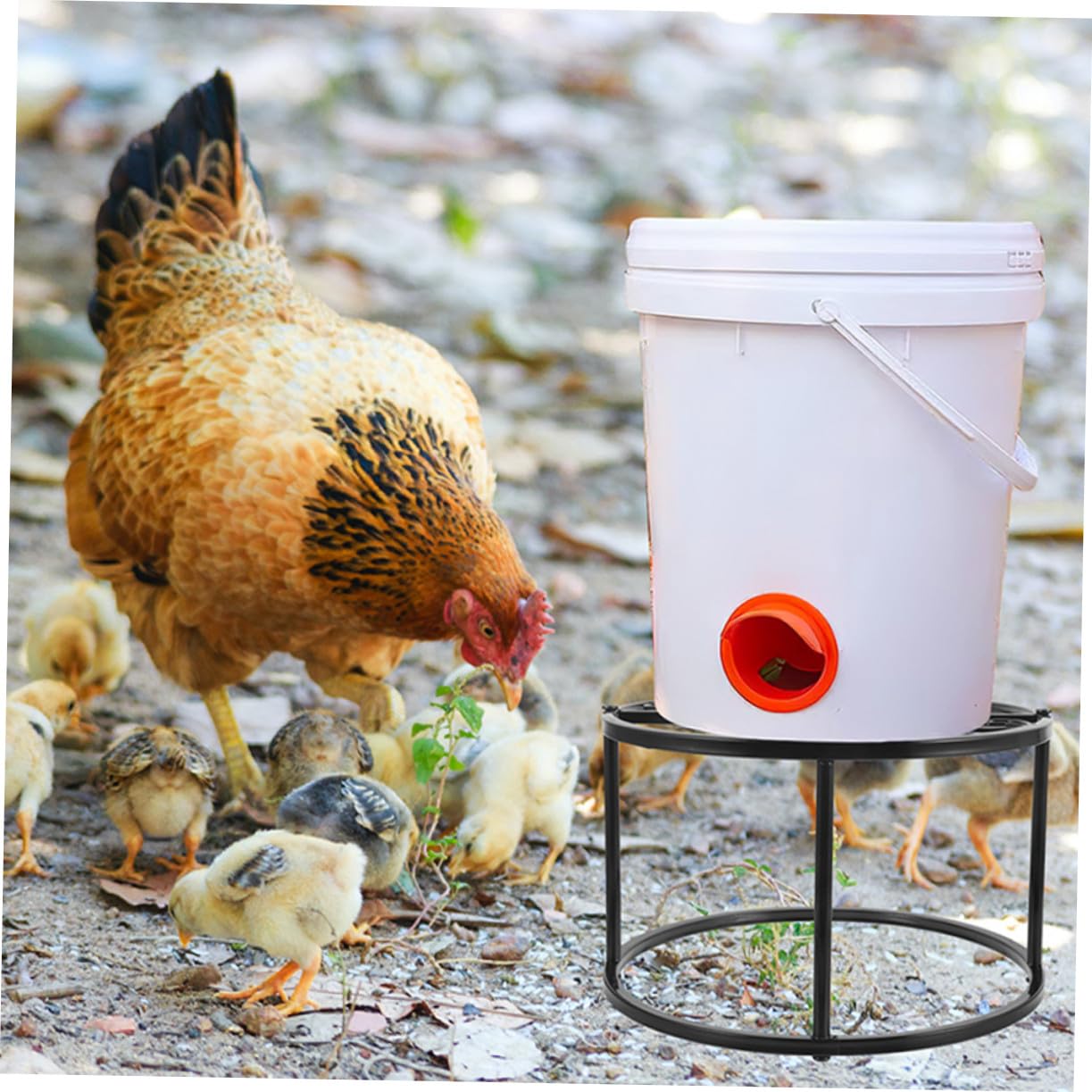 Abaodam Supporto per Mangiatoia e Porta Abbeveratoio in Metallo Resistente da 2 Pezzi per Pollaio, Telaio Stabile Struttura a 4 Gambe, Adatto per Alimentazione e Abbeveraggio Polli